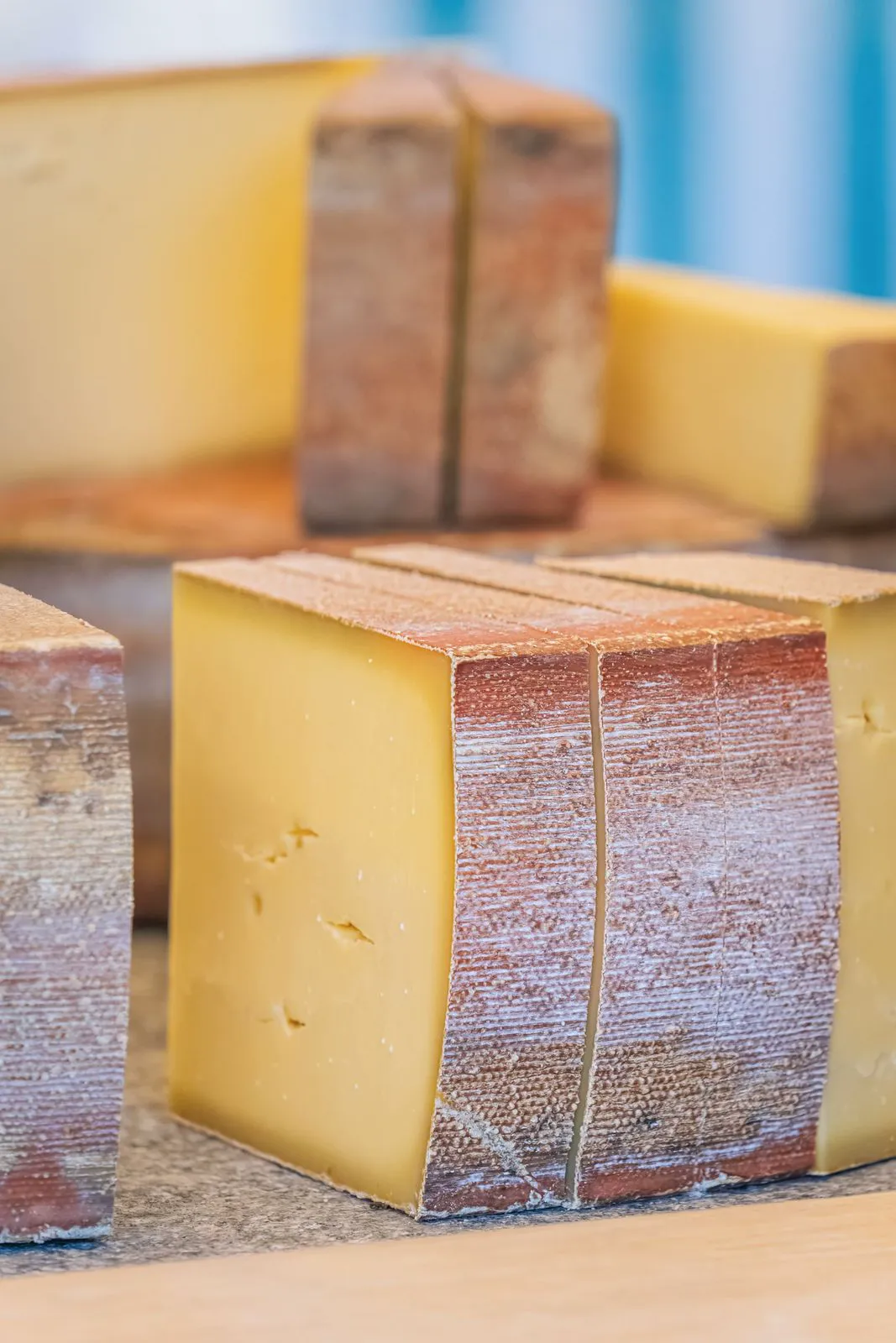 Blocks of aged hard cheese with natural rinds
