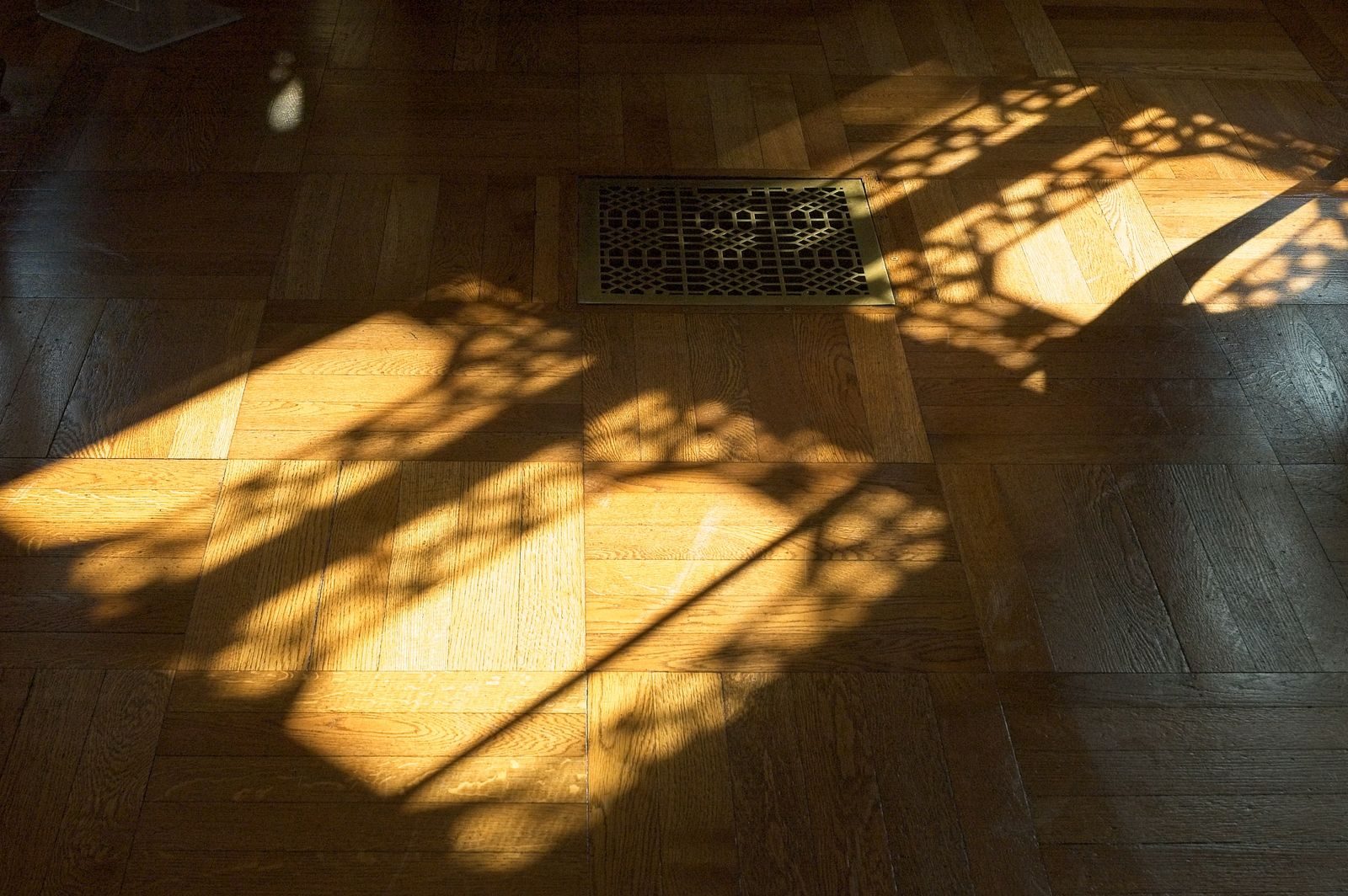 Afternoon sunlight falling across a parquet floor