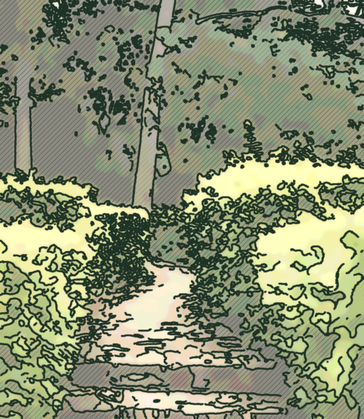 Pen and wash drawing of a stone path between clipped hedges