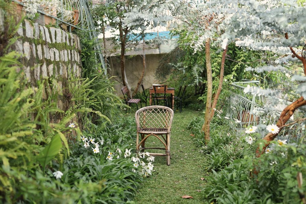 A wicker chair on a grass path between white flowers