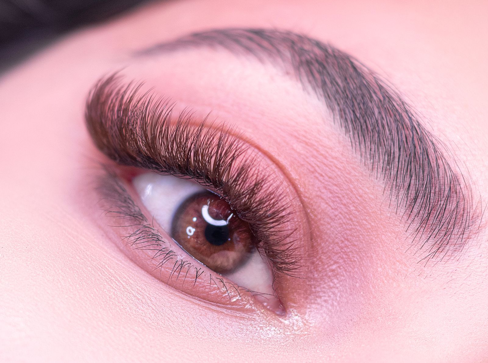 Close-up of a full, groomed brow and lashes