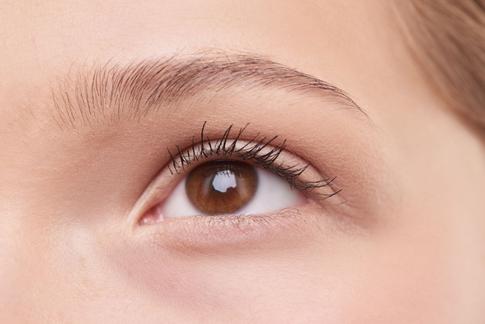 Close-up of a brown eye with a defined lash line